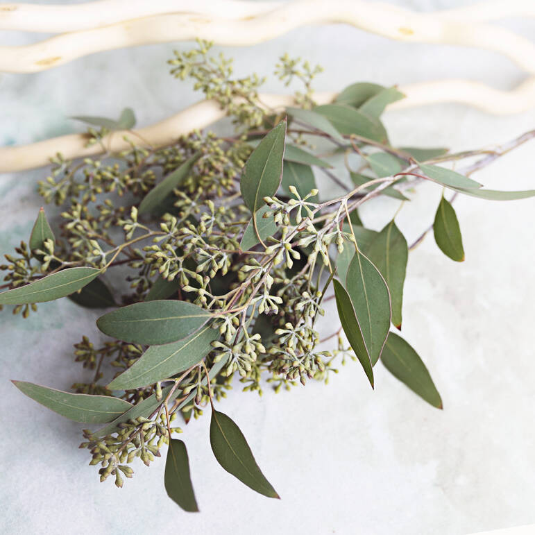 Olive, Podocarpus and Seeded Eucalyptus Garland